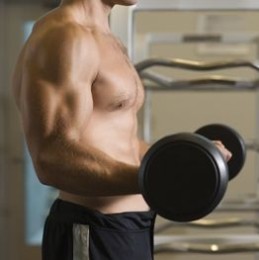 standing barbell biceps curls